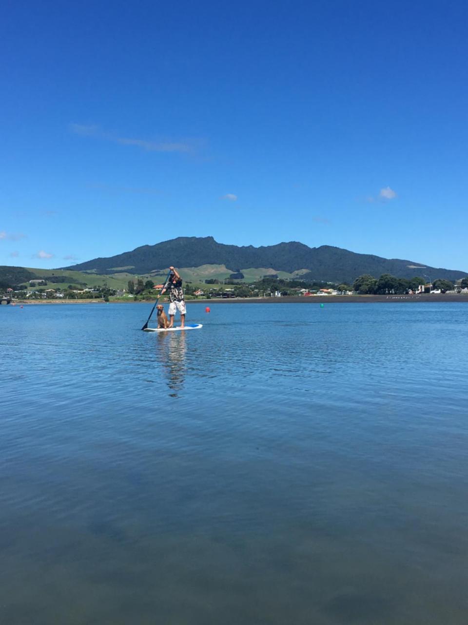 Хостел Raglan Backpackers Екстер'єр фото
